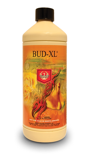 House & Garden Bud XL