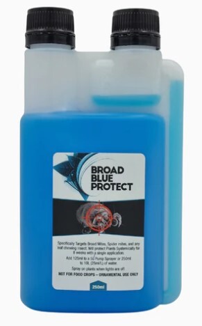 Blue Broad Concentrate 250ml