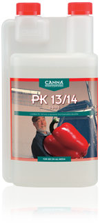 Canna PK 13-14