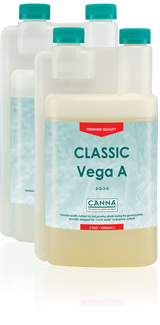 Canna Vega A&B