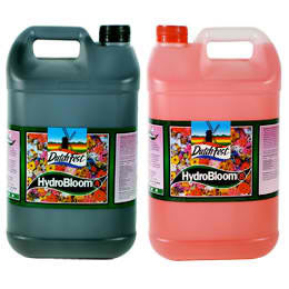 Dutch Fest Bloom A&B