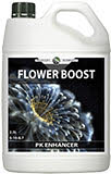 Professor's Nutrient Flower Boost