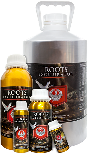 House & Garden Roots Excelurator