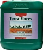 Canna Terra Flores