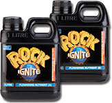 Rock Ignite Bloom A&B