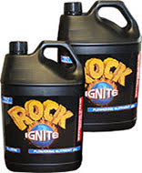 Rock Ignite Bloom A&B